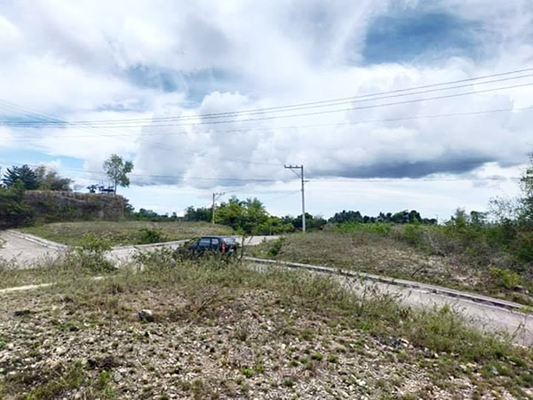 overlooking lot for sale in consolacion