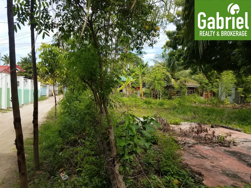 lot for sale in bantayan island 