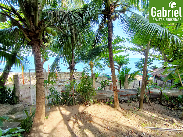 beach lot for sale in cebu