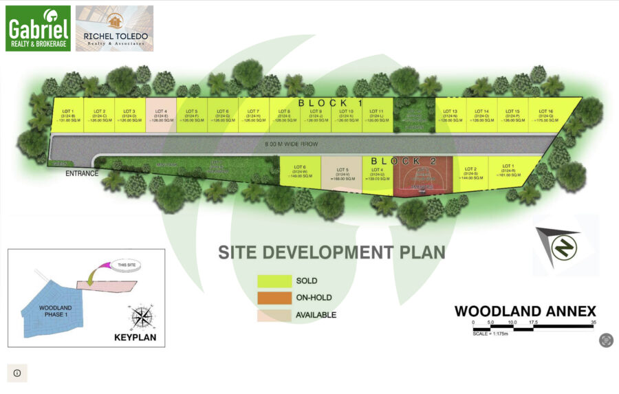 The Woodlands Prime Site Development Plan