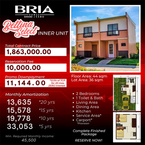 bria homes danao, affordable house for sale in danao